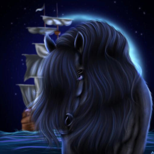 nfinity titans black